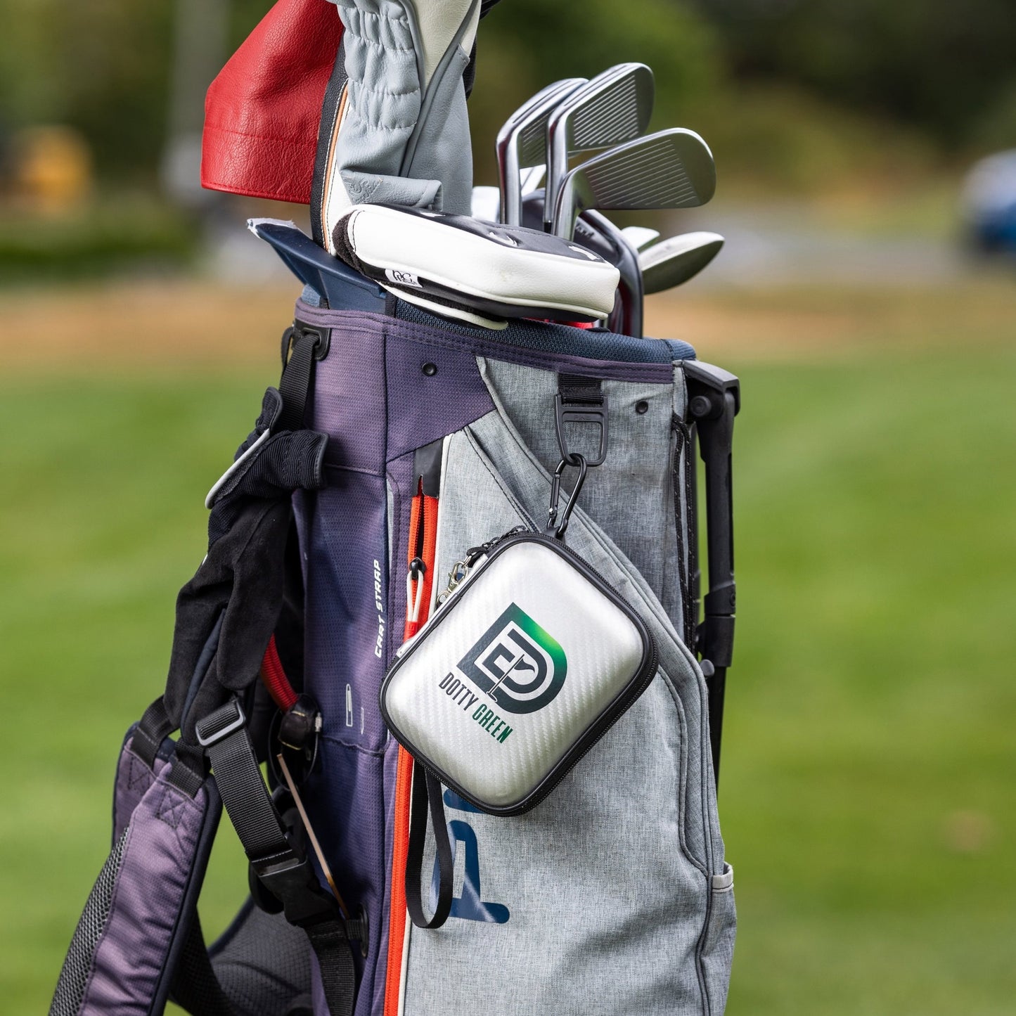 Dotty Green Golf (DG-100)